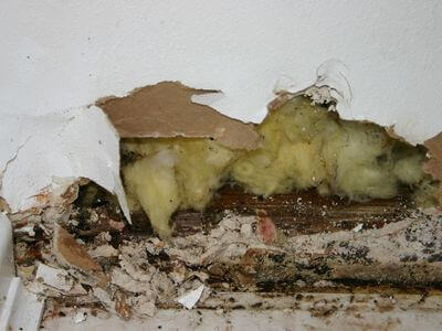 About Water Damage Restoration Maine - water damage restoration experts in Portland